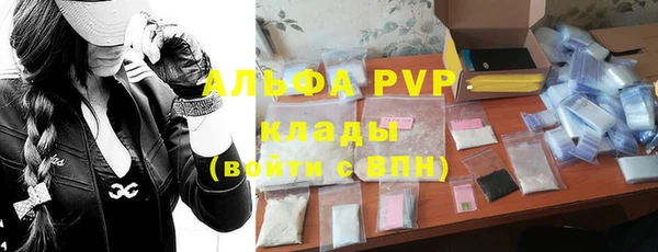 стаф Корсаков