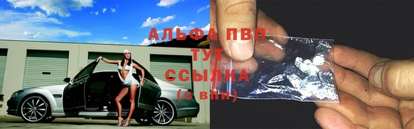 стаф Корсаков