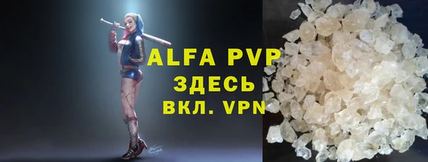 стаф Корсаков