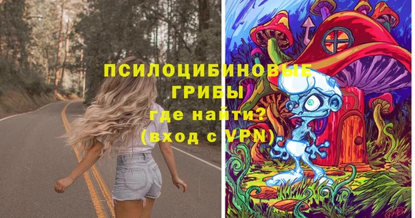 ПСИЛОЦИБИНОВЫЕ ГРИБЫ Козельск