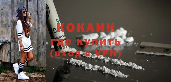 стаф Корсаков